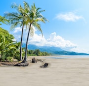 marino ballena national park in uvita beautiful beaches and tropical forest at pacific coast of costa rica