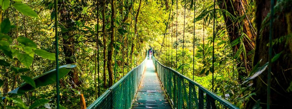 paysage ponts suspendus monteverde is