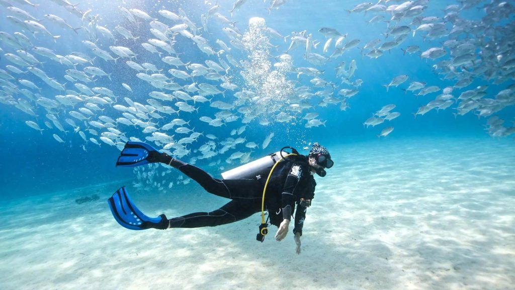 Où faire de la plongée sous-marine au Costa Rica | Costa Rica Découverte