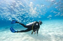 Où faire de la plongée sous-marine au Costa Rica