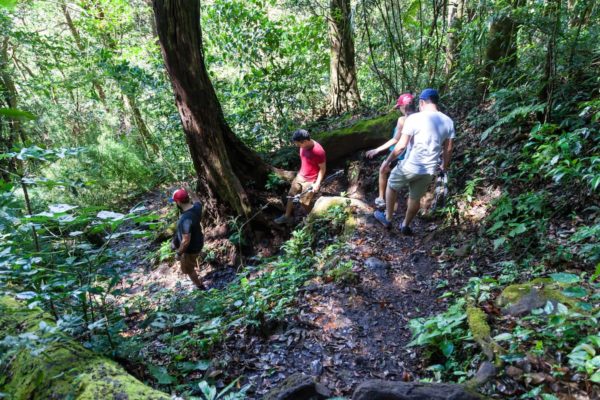 Les balades en forêt, les treck et les excursions pour les amateurs de nature au Costa Rica