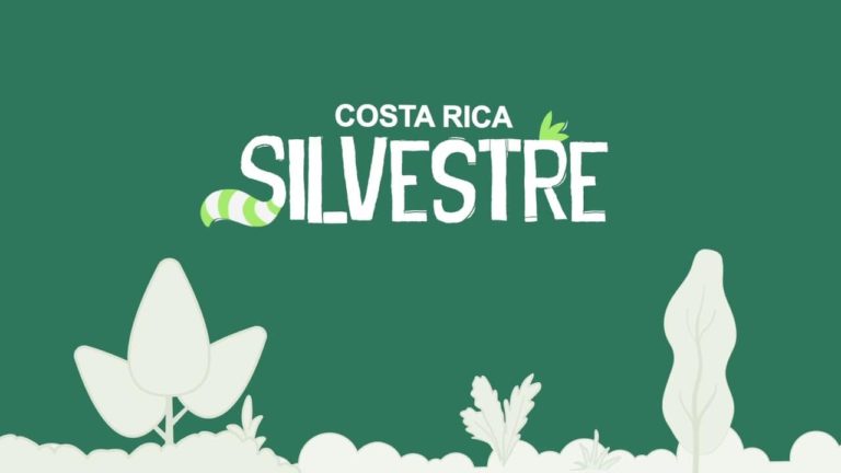 costa rica silvestre cover costa rica decouverte