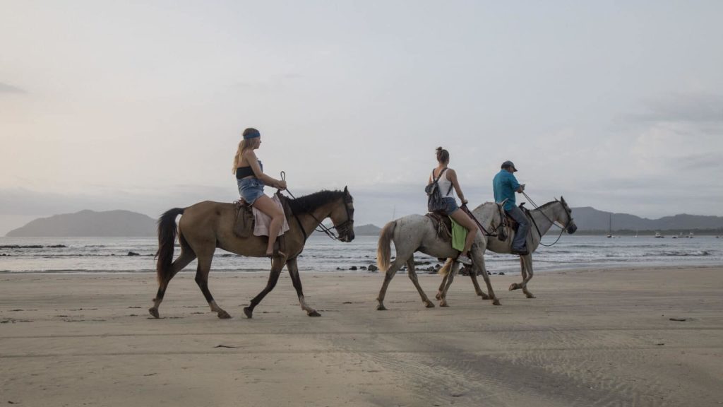 tamarindo-equitation-costa-rica-decouverte