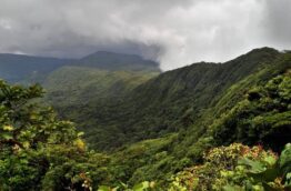 Costa Rica, le meilleur pour la prévention des incendies de forêt d’Amérique centrale