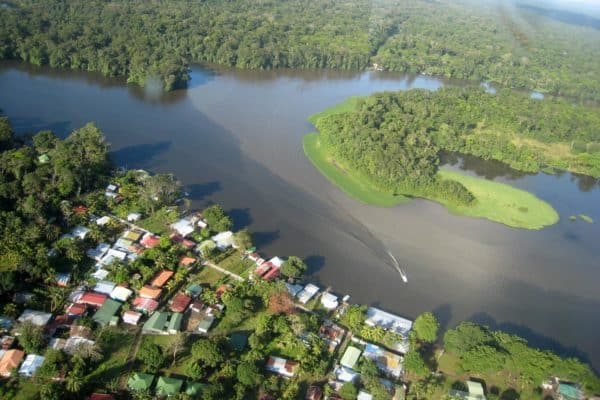 nidification tortuguero costa rica decouverte