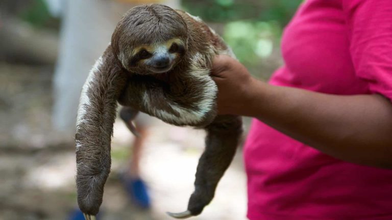 selfies cover costa rica decouverte