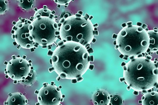 coronavirus virus costa rica decouverte