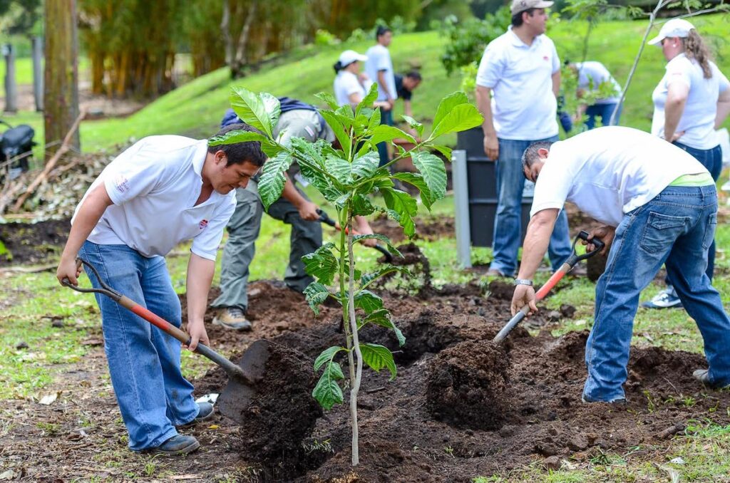 Reforestation le Costa Rica a 2 fois plus de forêts qu'il y a 30 ans Costa Rica Découverte