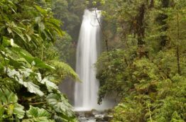 En ce moment : vacances pour la faune et la flore du Costa Rica