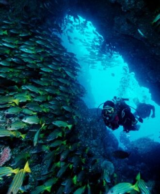 coraux-plongeurs-costa-rica-decouverte