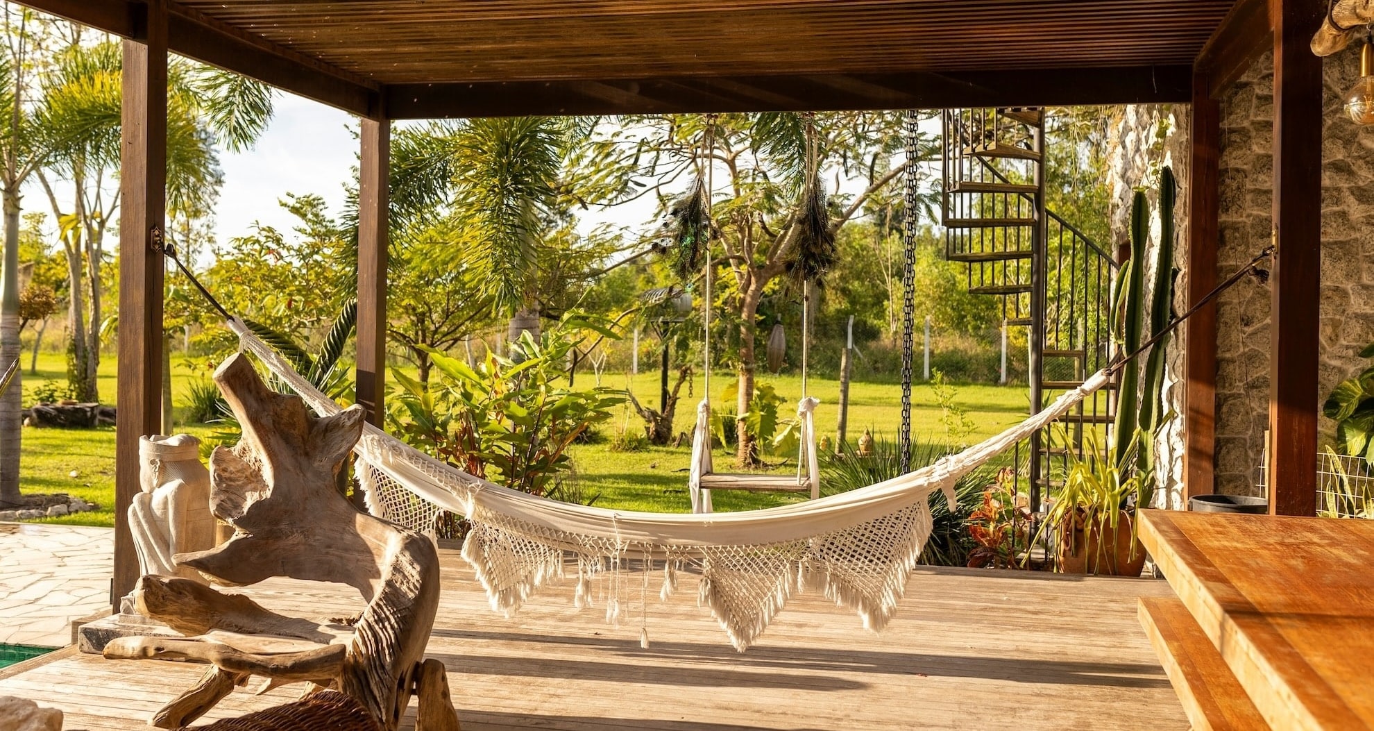 faune iguane px copie