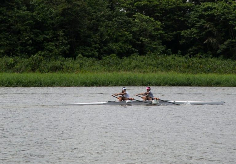 aviron tortuguero costa rica decouverte