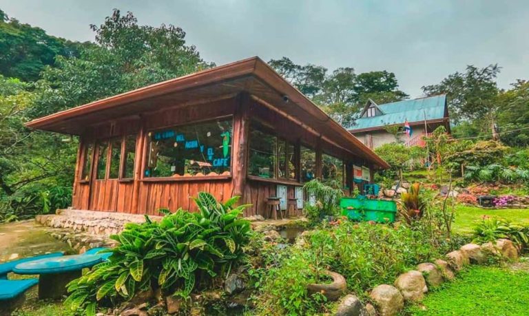 palmicha cover costa rica decouverte