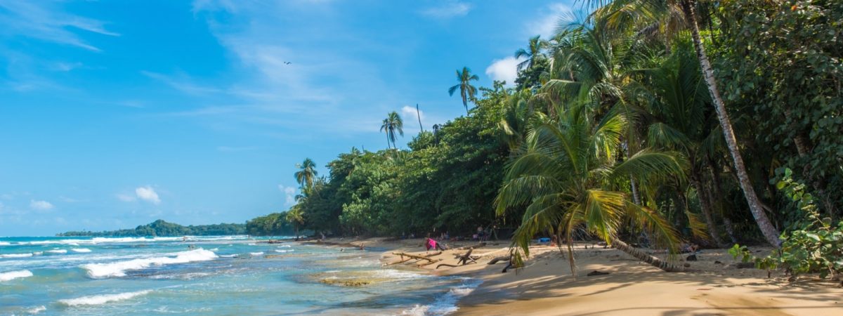 paysage plage caraibe palmier is costa rica decouverte
