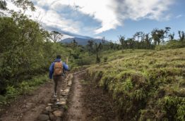 Silencio Lodge : 3 initiatives pour préserver la forêt tropicale