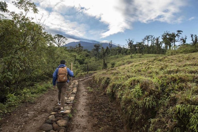 silencio lodge plantation cover costa rica decouverte
