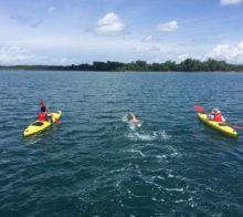 sports nautiques golfo dulce kayak costa rica decouverte