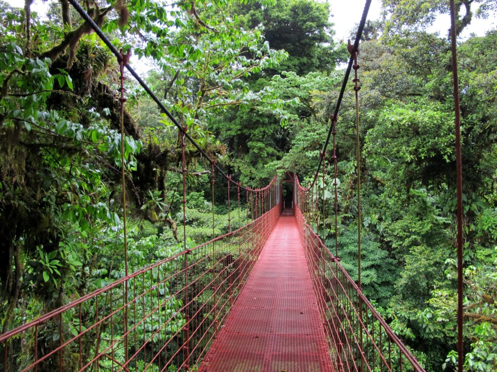 aventure-ponts-suspendus-costa-rica-decouvete
