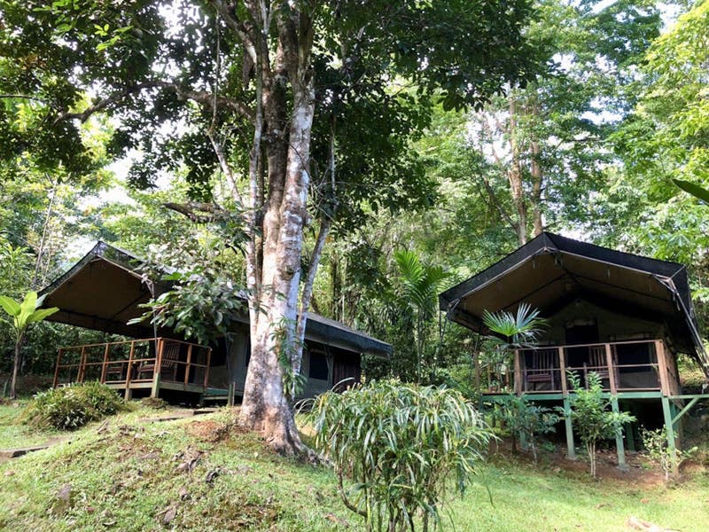 glamping rio tico costa rica decouverte