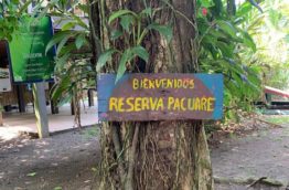 Réserve Pacuare et le Costa Rica de nos rêves