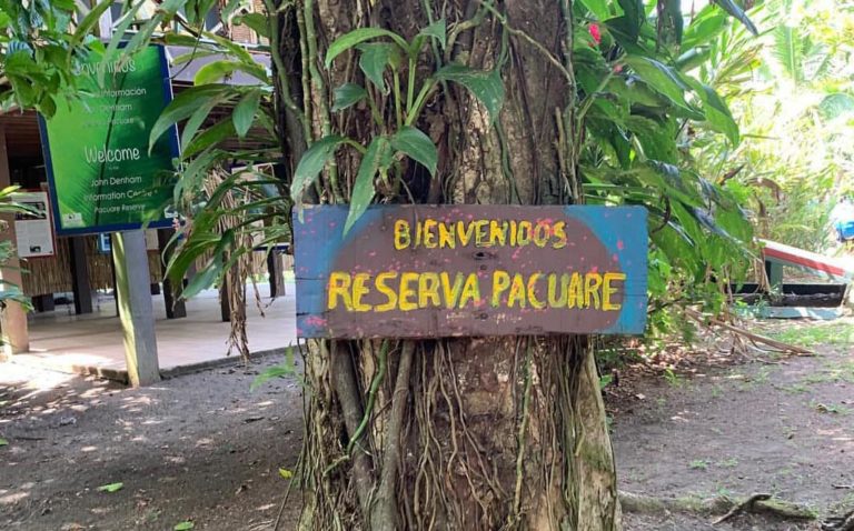 reserve pacuare cover costa rica decouverte