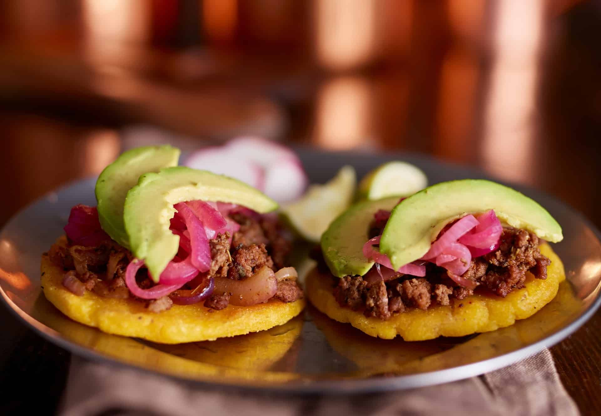 faune iguane px copie