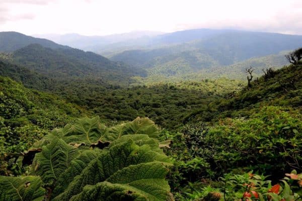 monteverde costa rica px 1