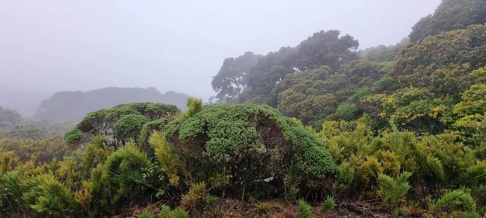 paysage cerro uran chirripo scaled