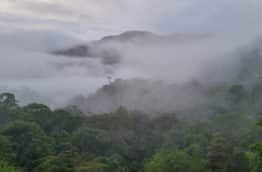 Bosque Eterno de los Niños : la plus grande réserve du Costa Rica