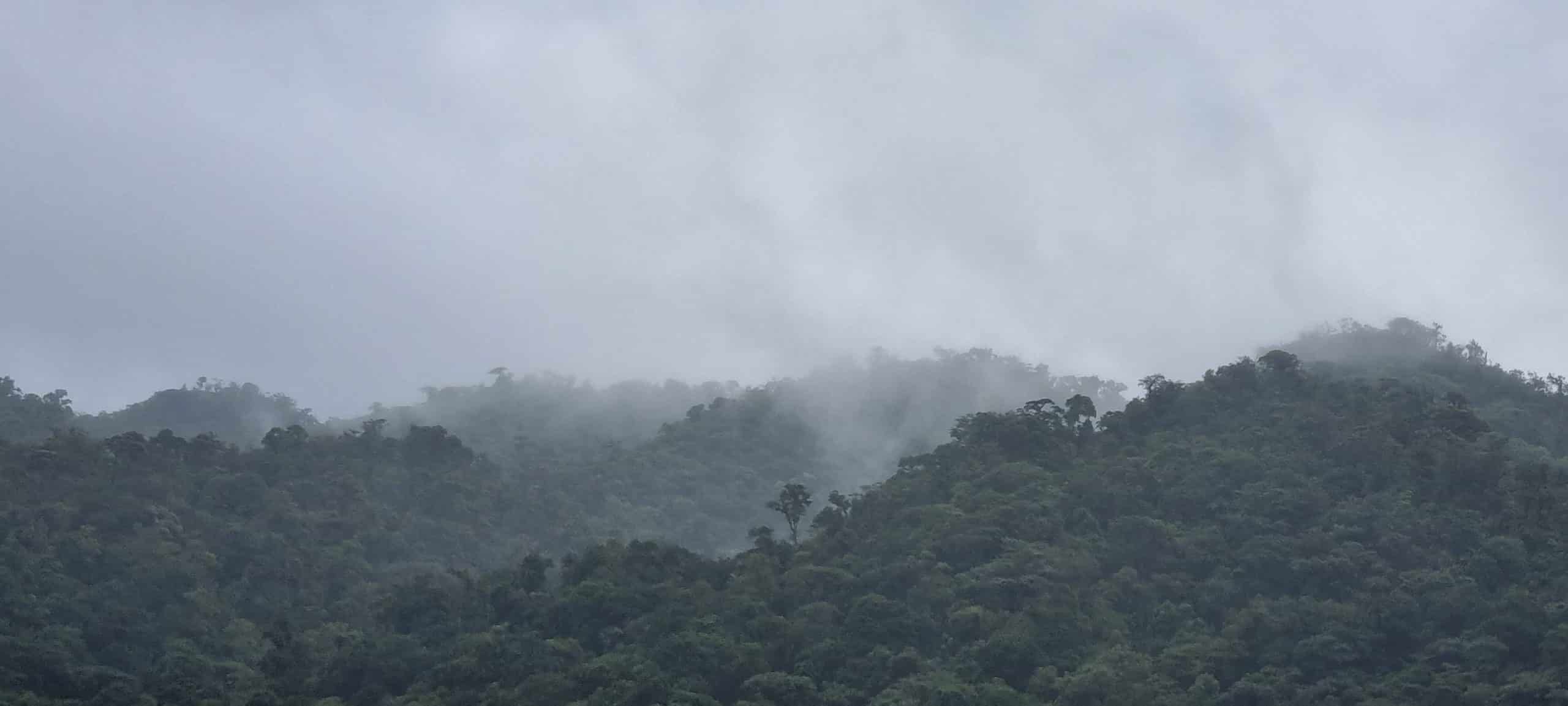 Bosque Eterno de los Ninos 2 Costa Rica Decouverte scaled
