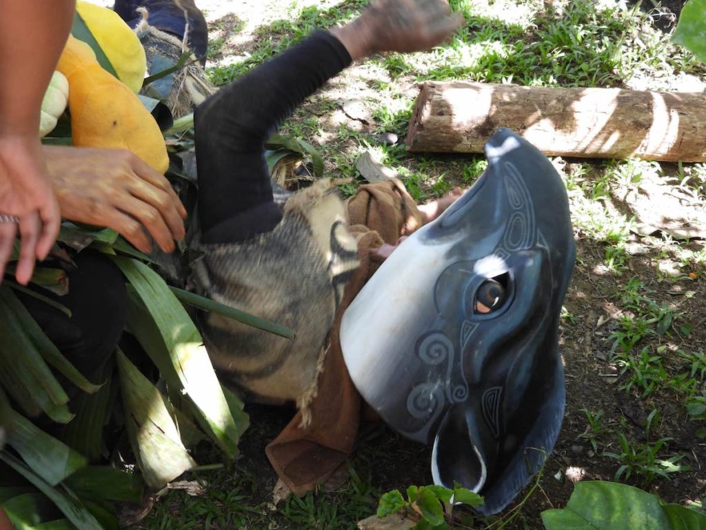 Masque Tapir Costa Rica Découverte