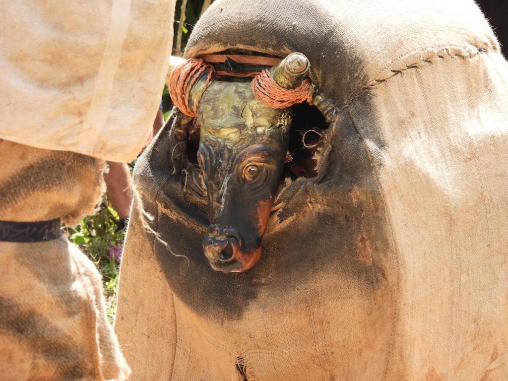 Taureau Fiesta e los diablitos Costa Rica Découverte scaled