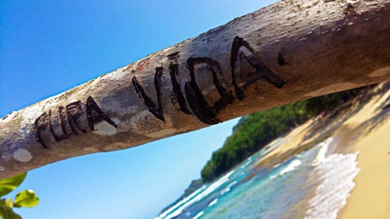 Arbre gravé Pura Vida