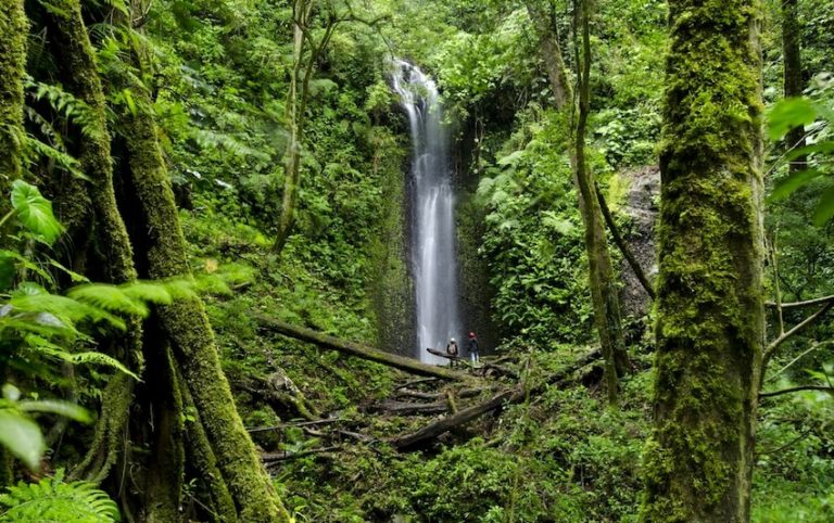 parc national La Amistad