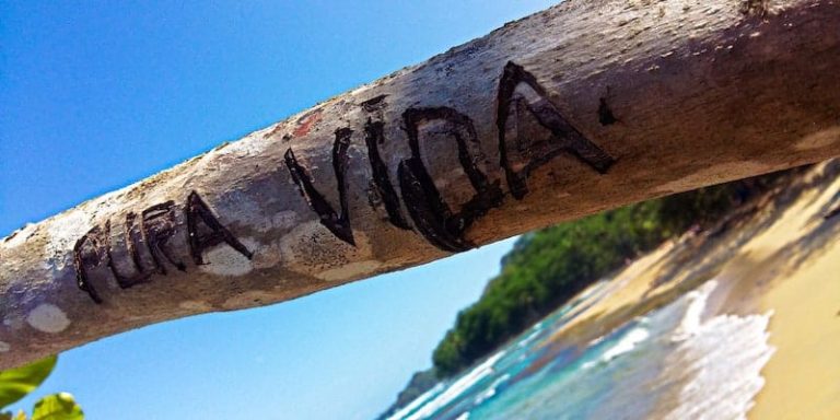 paysage plage tronc pura vida is