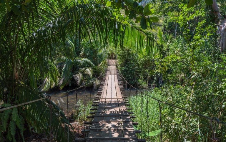 paysage pont suspendu is costa rica decouverte