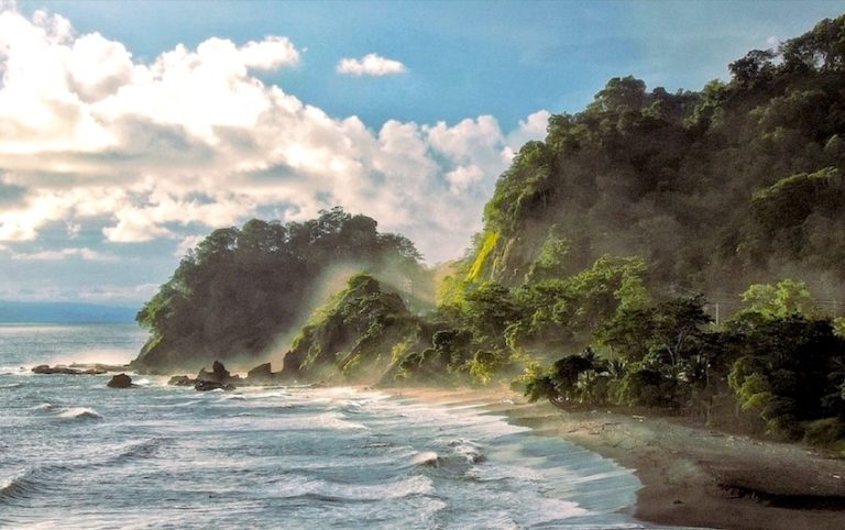 paysage mer jungle corcovado is costa rica decouverte petit fute