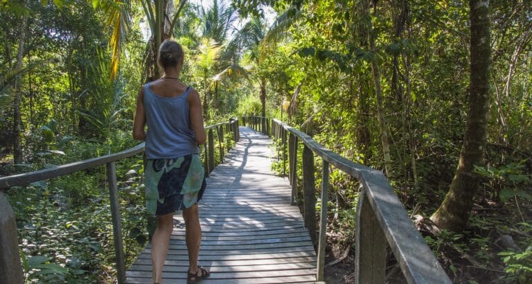 Femme qui marche dans le parc national Cahuita sur les Caraibes au Costa Rica