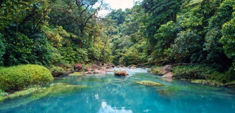 Parc national du Volcan Tenorio rivière celeste