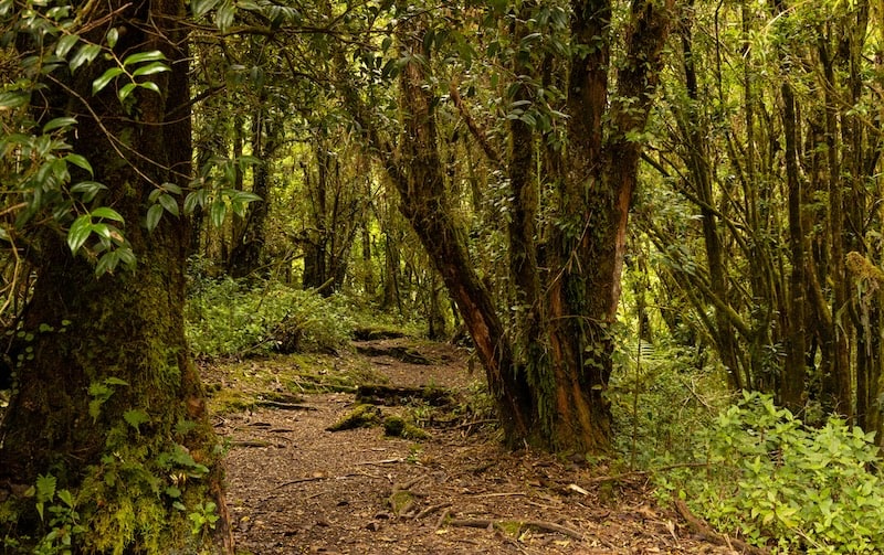 sentier volcan barva 1