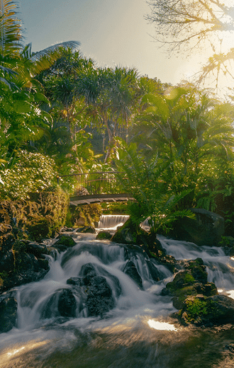 Tabacon hot springs