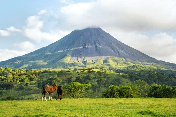 landscape volcano arenal horse costa rica decouverte