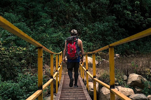 young hiker man crossing a bridge and carrying a red backpack surrounded by green bushes and trees in the rainforest on Ena hill in Costa Rica