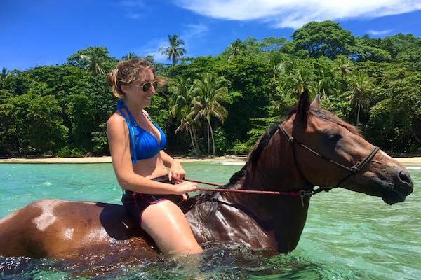 caribe horse caraibes costa rica cheval mer