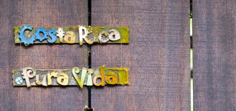 Panneau bois coloré Pura Vida