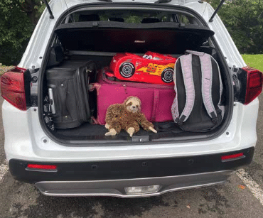 Suzuki Vitara volume coffre