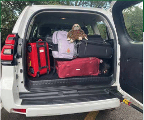 toyota Prado volume coffre