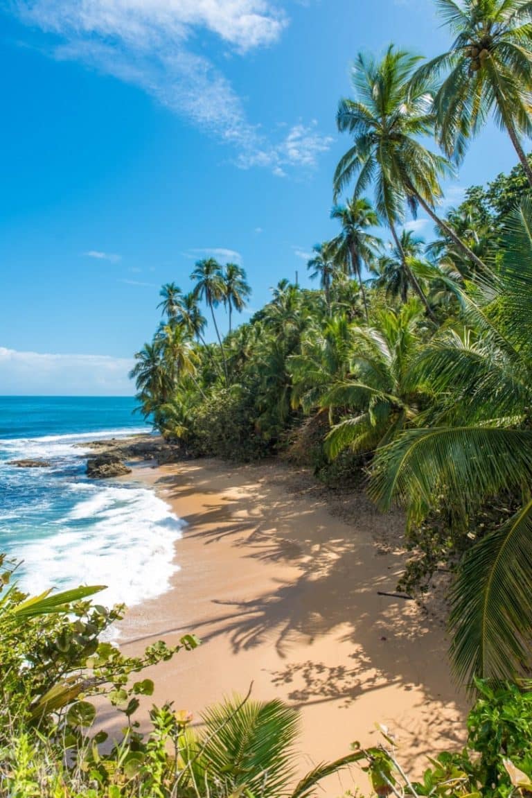 Voyage au Costa Rica en famille (sans stress et sur mesure)