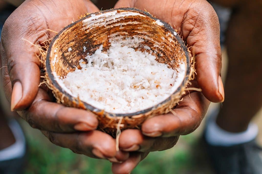 Mains tiennent une noix de coco offrande