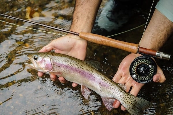Pecheru à la truite rio Savegre au Costa Rica